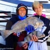 Mother and Son Shultz of Azle TX nabbed these keeper eater drum on shrimp