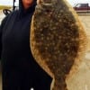 Poochie Walker of League City TX took this 21inch doormat flounder on a Berkley Gulp