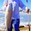 Reggie REDFISH Johnson of Pearland TX caught and released 5 bullreds in less than an hour he took on cut croaker