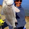Sheila Anderson Williams of Houston caught this nice keeper eater drum on shrimp
