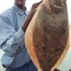 Wayne Darvy of Houston took this nice flounder on shrimp