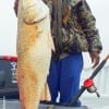 Willie Coleman of Houston took this HUGE 41 inch tagger bull red on a finger mullet