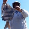 Herbert Satchaway of Willis TX hefts this nice sheepshead caught on shrimp