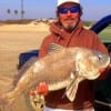 Stuart Yates of Briarcliff TX cast a shrimp in the surf to catch and release this HUGE drum