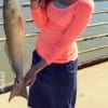 Beaumont TX angler Josie Matos baited her fishing line with squid to come up with this nice slot red