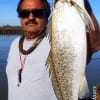Bolivar angler Don Kernan took this nice 22 inch speck on a trap