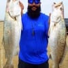 Houston angler TK Morrison made his mark today with these 24.5 and 27.5 inch specks he took on soft plastic