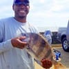 Hulan Polk of Webster TX took this nice sheepshead while fishing with live shrimp