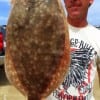 Kountze TX angler Patrick Coates fished soft plastic for this nice flounder