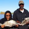 The Walkers of Houston teamed up to catch these two nice drum on shrimp