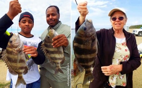 (L) Father and son fishing team with 2 nice sheepshead; (R) A lady angler took this nice Convict Fish