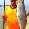 CATCH OF THE DAY goes to Don Kernan of Bolivar with this 26inch-7LB gater-speck he took on a trap then released it with a belly full of eggs
