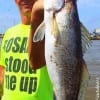Craig Weaver of Spring TX nabbed this nice speck while fishing shrimp