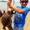 Eight yr old Maddox Soto of the Cypress School district hefts these nice fish caught on chicken boy soft plastics