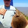 Gary Cain of Liberty TX hefts this nice flounder caught on a finger mullet