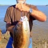 Gilchrist TX angler David Blair nabbed these nice flounder and red while fishing live shrimp
