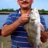 Hakan Okur of Austin TX nabbed this nice keeper eater drum while fishing shrimp