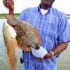 Houston angler Robert Davis caught this nice slot red and 22inch doormat sized flounder on mirrOlures