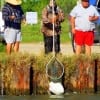 How to net a Cownose Ray is displayed here- veree carefully