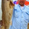 Pearland TX angler Mike Chaing caught and released this really nice 29inch bull red he took on live shrimp