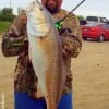Rollover angler Donnie Lucier waded Rollover Bay with a crappie jig to nab this 32inch -14.4 lb tagger bull red
