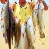 Rollover angler Henri Fontenot shows off his 10 plus 2 trout limit caught on soft plastics- thats 10 keeper specks with 2- a 28 and 29inch gator-specks- released