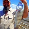 Jeremy Kojay of Warren TX nabbed this nice keeper eater drum on shrimp