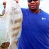 Jimmy Anderson of Houston caught this nice drum on shrimp
