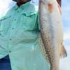 Kim Cyphers of Mo City TX took this nice speck on a live croaker