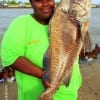 Michele Jones of Woodlands TX caught and released this HUGE 37inch drum she took on shrimp
