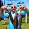 Matt Hudson of Baytown TX waded Rollover Bay with pearl-pink chicken boys to tether up these nice trout and flounder