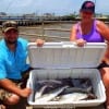 Mother and Son anglers Tammy and Michael McMullen of Magnolia TX wrangled up this nice box of specks on night-shift and early day-shift fishing finger mullet and mirrOlures