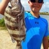 Nacogdoches angler Jake Bostian took this nice sheepshead to the CCA Star tournament where he now holds 2nd place in the childrens division