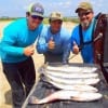 The Double Hook N'Hand fishing krewe took these nice trout wading the surf while crankin' silver spoons