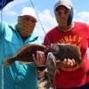 WHO DAT anglers Hector Meza and Eduardo Ivara of Houston took these flounder and drum on gulp