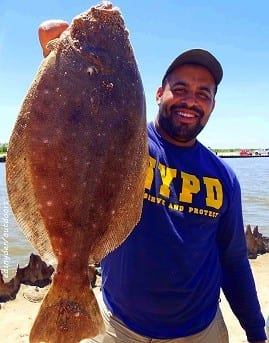 Andrew Estupinad of Pasadena TX took this really nice flounder on a Miss Nancy shrimp