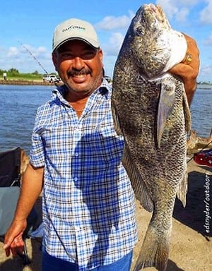 Brownsville TX angler Enrique Loya hefts this nice keeper eater drum caught on shrimp