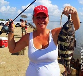 Cathy Vaughan of Gainesville TX took this really nice 20inch Sheepshead on Miss Nancy's shrimp