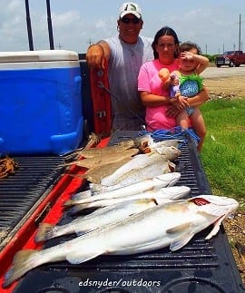 The Buddy Settle Family of Rye TX tailgated these nice flounder and trout topped with a 27.5 inch 6.12 lb gator