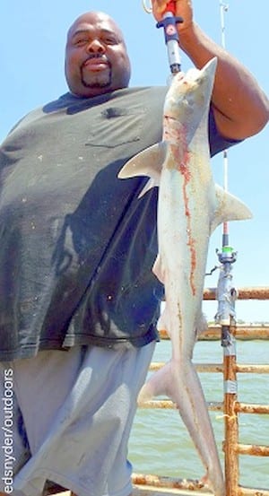 Adrian Benson of Houston nabbed this 38inch Black Tip Shark he caught on POMPANO