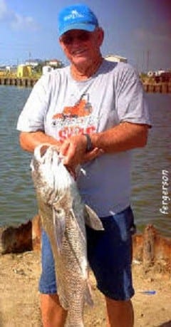 Anahauc TX angler Eddie Fergerson caught and released this 36inch HARD FIGHTING bull drum he took on shrimp