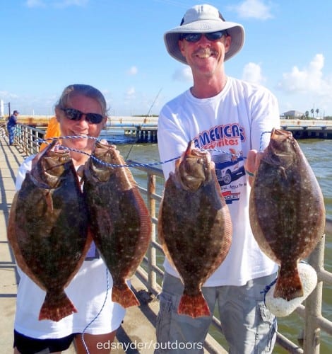 Flounder on the Gulf side of the bridge hit porta-potty finger mullet, as proven by flounder anglers Alice Dykes and Steve Thornhill of Lufkin TX