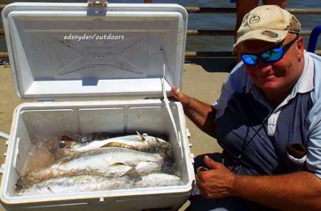 Hamshire TX angler Tony Mazola fished live shad to fill his cooler with a ten speck limit