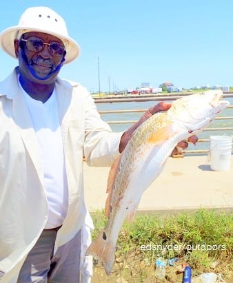 Houston angler Thomas Mosley took this nice 23inch slot red while fishing shrimp