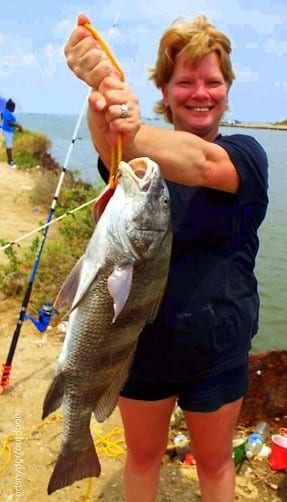 Michelle Barth of Spring TX nabbed this nice drum while fishing Miss Nancy mullet