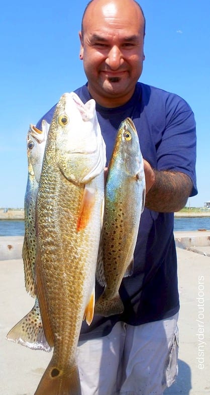 Surf Wader Carlos Farias of Houston worked soft plastics to tether up these nice trout and slot redfish