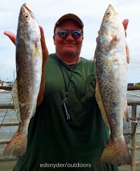 Tony Mazzola of Hamshire TX shows off 2 of his 4 trout limit he took on finger mullet