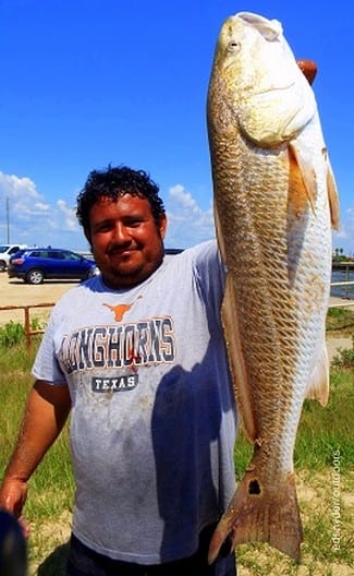 Austin TX angler Emillio Aguillon took this 29inch tagger bull red while fishing a Miss Nancy shrimp