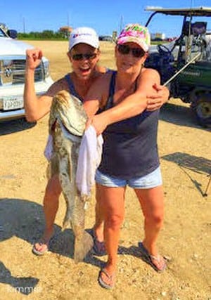 Brenda Frazier Boyd of Sour Lake TX caught her first 39 inch black drum at Rollover Pass with Miss Nancy's shrimp and released with help from Kimmie Wheeland of Lufkin, TX