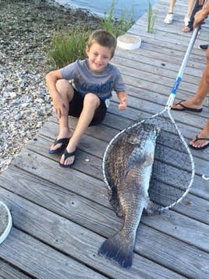 Caught Saturday with a piece of crab on a $14 zebco 10 lb test- Cooper Landreth 8 years old from Bryan, TX